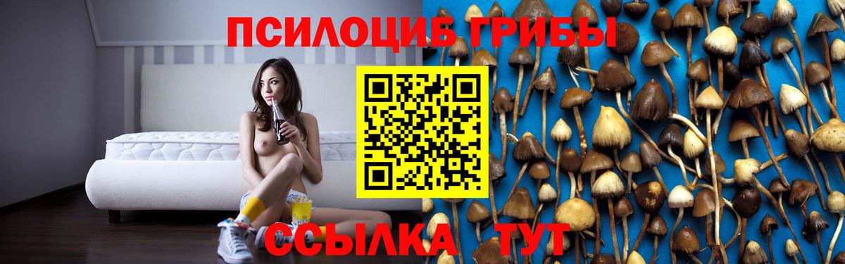 Галлюциногенные грибы прущие грибы  Вход с VPN  купить наркоту  Топки  Галлюциногенные грибы мицелий 